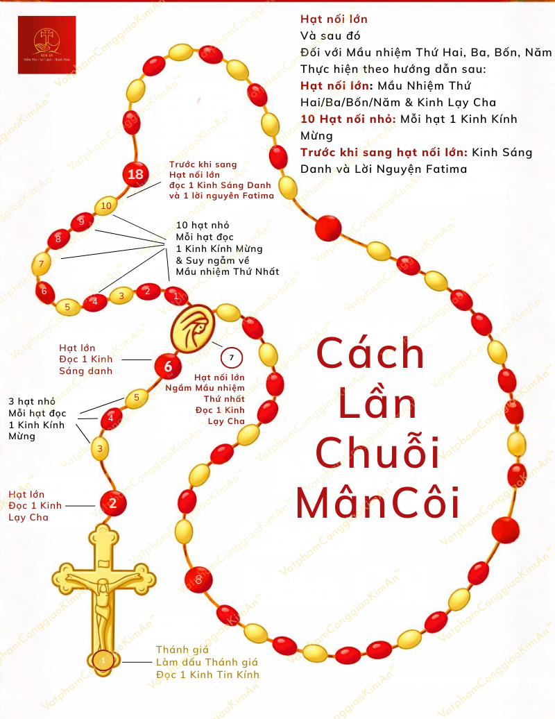 cach-lan-chuoi-man-coi-chi-tiet-cho-nguoi-moi Cách lần chuỗi Mân Côi chi tiết cho người mới