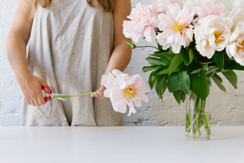 image32 Nếu hoa héo nhẹ, Quý gia chủ có thể ngâm trong xô nước sạch